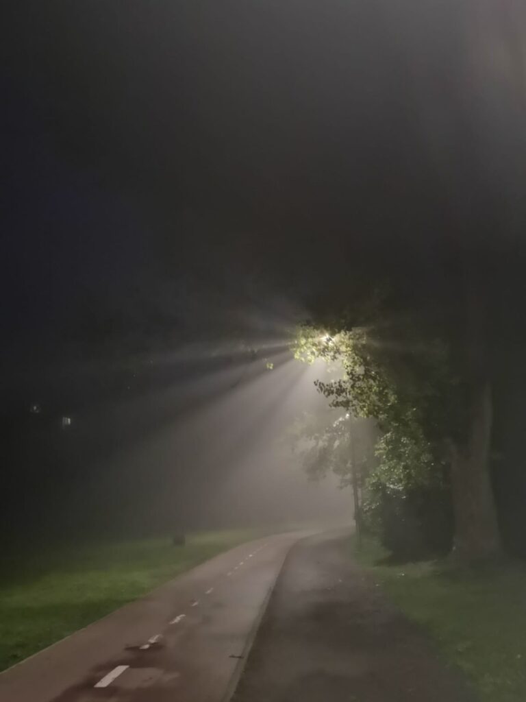 Lamp behing tree over street at night