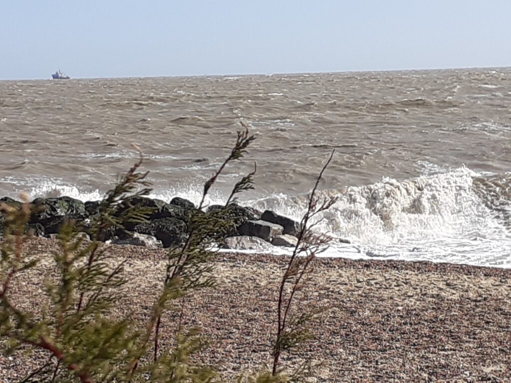 waves breaking on shingle beach, plants waving in wind, rocks by shore, blue sky, boat in distance